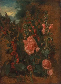 John Constable Study of Hollyhocks Print, ca. 1826