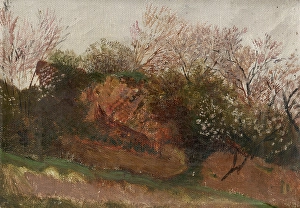 European Heritage Art Gallery Prints: Study of Nature in Spring, 1900-1910. Creator: Ladislav Mednyanszky