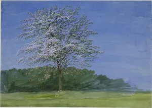 Watercolour Gouache On Paper Prints: Study of a Tree in Bloom, c. 1835. Creator: William Turner