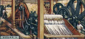 Industrial Machinery Images Prints: Sugar, 3. Crushing the Canes, Java, 1928