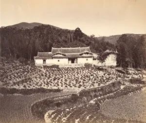 Teafield & Josshouse at Peling, ca. 1869 Print