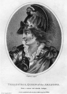 Thalestris, mythical Queen of the Amazons, 1797.Artist: J Chapman Thalestris, mythical Queen of the Amazons, 1797.Artist: J Chapman