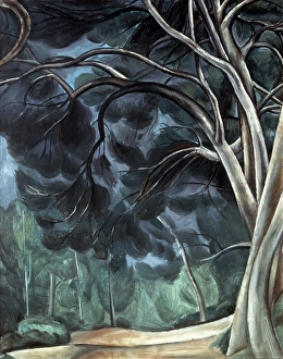 Tree Trunks Print, a watercolour depiction of tree trunks in a landscape