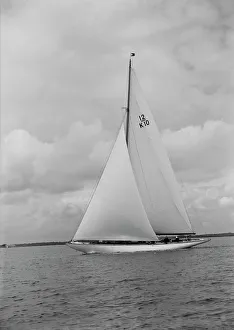 Trivia, a 12 Metre class yacht sails close-hauled, 1939. Creator: Kirk & Sons of Cowes Trivia, a 12 Metre class yacht sails close-hauled, 1939. Creator: Kirk & Sons of Cowes