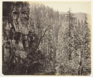 Samuel Bourne Photography Prints: Untitled [cliffs and trees], c. 1865. Creator: Samuel Bourne