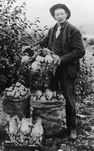 Vegetable Print, c1900-1930