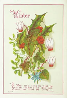 Berry Fruit Still Life Prints: Winter, 1886. Creator: Unknown