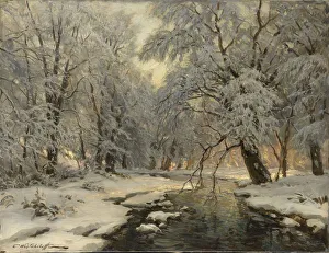 Fine Art Nature Images Prints: Winter in the Forest, c1930