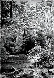In The Woods, 1889. Creator: Louis Michel Eilshemius In The Woods, 1889. Creator: Louis Michel Eilshemius