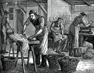 Wool Sorters Print, c1880