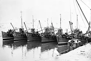 Newhaven fishing boats tied up alongside the harbour wall 1954 Newhaven fishing boats tied up alongside the harbour wall 1954