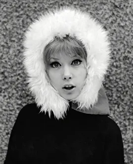 Sixties model, Pattie Boyd wearing fur hat Sixties model, Pattie Boyd wearing fur hat