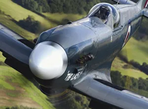Battle of Britain Memorial Flight Spitfire, Mk19 Battle of Britain Memorial Flight Spitfire, Mk19