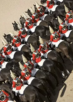 Horses Collection: The Household Cavalry