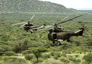 Army Collection: Two Royal Air Force Puma Helicopters During Ex Askari Thunder Over Kenya