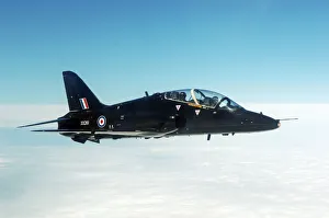 Royal Navy Hawk Royal Navy Hawk