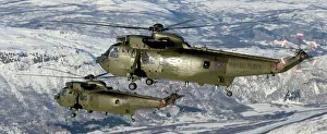 Royal Navy Seaking Mk4 Helicopters Over Northern Norway Royal Navy Seaking Mk4 Helicopters Over Northern Norway