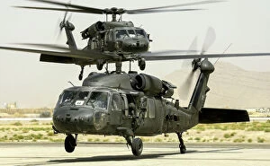 Army Collection: US Sikorsky UH-60 Black Hawk Helicopter