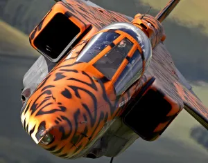 A specially painted Jaguar aircraft takes to the skies over RAF Coningsby for a final A specially painted Jaguar aircraft takes to the skies over RAF Coningsby for a final