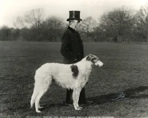 Thomas Fall with Borzoi Thomas Fall with Borzoi
