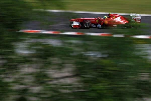 Images Dated 30th July 2011: 2011 Hungarian Grand Prix - Saturday