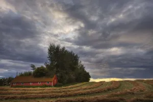 Abandoned Red Barn Against Stormy Evening Sky, Central Alberta Abandoned Red Barn Against Stormy Evening Sky, Central Alberta