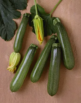 Agriculture - Green zucchini on a stone surface; variety Tigress, studio Agriculture - Green zucchini on a stone surface; variety Tigress, studio