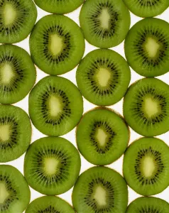 Agriculture - Kiwi slices arranged in rows and backlit, studio. Version 2 Agriculture - Kiwi slices arranged in rows and backlit, studio. Version 2