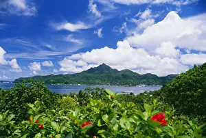 American Samoa, Pago Pago Harbor, Greenery And Flowers, Clouds In Sky American Samoa, Pago Pago Harbor, Greenery And Flowers, Clouds In Sky