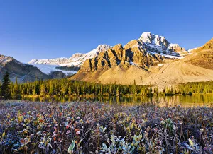 Artists Choice: Bow Lake And Crowfoot Mountain At Sunrise In Fall, Banff National Park Artists Choice: Bow Lake And Crowfoot Mountain At Sunrise In Fall, Banff National Park
