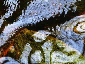 Au Makua, Massachusetts, Seekonk, Caratunk Wildlife Refuge, Shapes Made By Ripples And Reflections In Water Au Makua, Massachusetts, Seekonk, Caratunk Wildlife Refuge, Shapes Made By Ripples And Reflections In Water