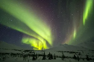 Aurora borealis or northern lights over the Dempster Highway in winter, Yukon Aurora borealis or northern lights over the Dempster Highway in winter, Yukon