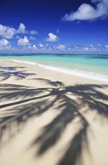Nature landscapes/beach scene palm shadow shoreline sand tropical Nature landscapes/beach scene palm shadow shoreline sand tropical