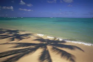 Beach Shoreline With Palm Tree Shadows, Calm Turquoise Ocean Horizon Beach Shoreline With Palm Tree Shadows, Calm Turquoise Ocean Horizon