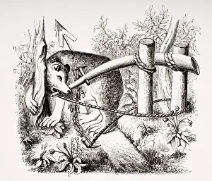 How Bears And Other Beasts May Be Caught With A Dart How Bears And Other Beasts May Be Caught With A Dart
