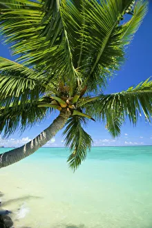 Beautiful View Of Clear Water, Palm Tree, Deep Blue Sky Beautiful View Of Clear Water, Palm Tree, Deep Blue Sky