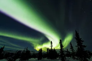 The Bright Neon Green Aurora Swirling Above The Boreal Forest, Chena River State Recreation Area, Fairbanks The Bright Neon Green Aurora Swirling Above The Boreal Forest, Chena River State Recreation Area, Fairbanks