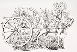 How To Take A Cart To Allure Beasts 19Th Century Reproduction Of 15Th Century Miniature How To Take A Cart To Allure Beasts 19Th Century Reproduction Of 15Th Century Miniature