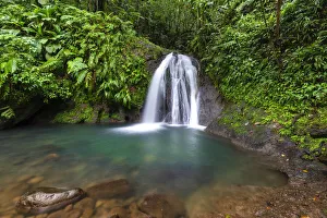 Cascades aux Ecrevisses in a tropical forest on Basse-Terre, Guadeloupe, French West Indies Cascades aux Ecrevisses in a tropical forest on Basse-Terre, Guadeloupe, French West Indies