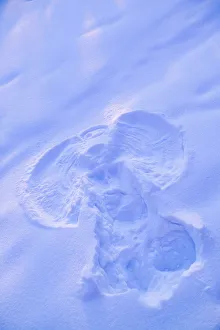 Close Up Of Snow Angel At Sunset With Blue And Pink Highlights Winter Fairbanks Interior Close Up Of Snow Angel At Sunset With Blue And Pink Highlights Winter Fairbanks Interior