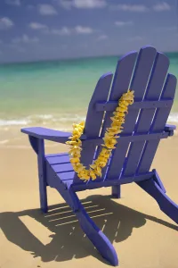 Close-Up Blue Beach Chair With Plumeria Hanging On Side Facing Ocean Close-Up Blue Beach Chair With Plumeria Hanging On Side Facing Ocean