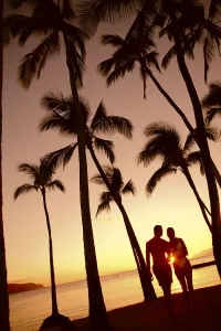 Close-Up Of Couple In Park Heads Together, Palm Trees Silhouetted By Sunset Close-Up Of Couple In Park Heads Together, Palm Trees Silhouetted By Sunset