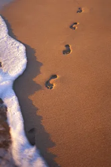 Close-Up Of Footprints In The Sand Along Shoreline, Golden Afternoon With Shadows Close-Up Of Footprints In The Sand Along Shoreline, Golden Afternoon With Shadows