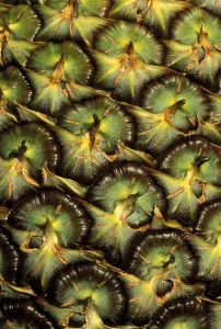 Close-Up Of Pineapple Skin With Beautiful Texture Close-Up Of Pineapple Skin With Beautiful Texture