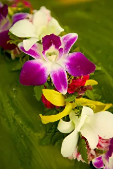 Close-Up Detail Of A Vibrant Colored Lei Made With Tropical Flowers Close-Up Detail Of A Vibrant Colored Lei Made With Tropical Flowers