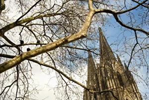 Cologne Cathedral (Kolner Dom) Through Tree Branches, Cologne, Germany Cologne Cathedral (Kolner Dom) Through Tree Branches, Cologne, Germany