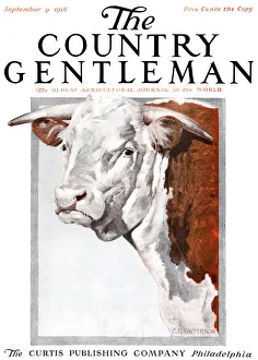 Country gentleman agricultural magazine covers/cover country gentleman agricultural magazine Country gentleman agricultural magazine covers/cover country gentleman agricultural magazine
