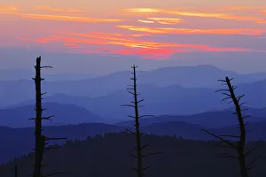 Dead Trees And Mountains At Dusk From Clingmans Dome, Great Smoky Mountains National Park, North Carolina Dead Trees And Mountains At Dusk From Clingmans Dome, Great Smoky Mountains National Park, North Carolina