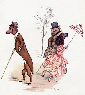 The Dog That Nobody Will Know. From The Picture By Lewis Baumer From The Book Princess Marie-JosA©' The Dog That Nobody Will Know. From The Picture By Lewis Baumer From The Book Princess Marie-JosA©'