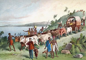 Dr. David Livingstones Arrival At Lake Ngami, Botswana, South Africa In 1849 Dr. David Livingstones Arrival At Lake Ngami, Botswana, South Africa In 1849